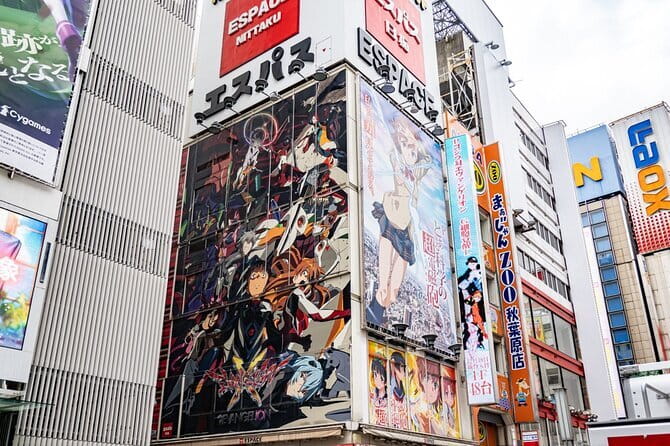 Official Japan Go-Kart Tokyo Skytree/Akihabara (IDP Required) - Ameyoko market and Ueno’s street energy