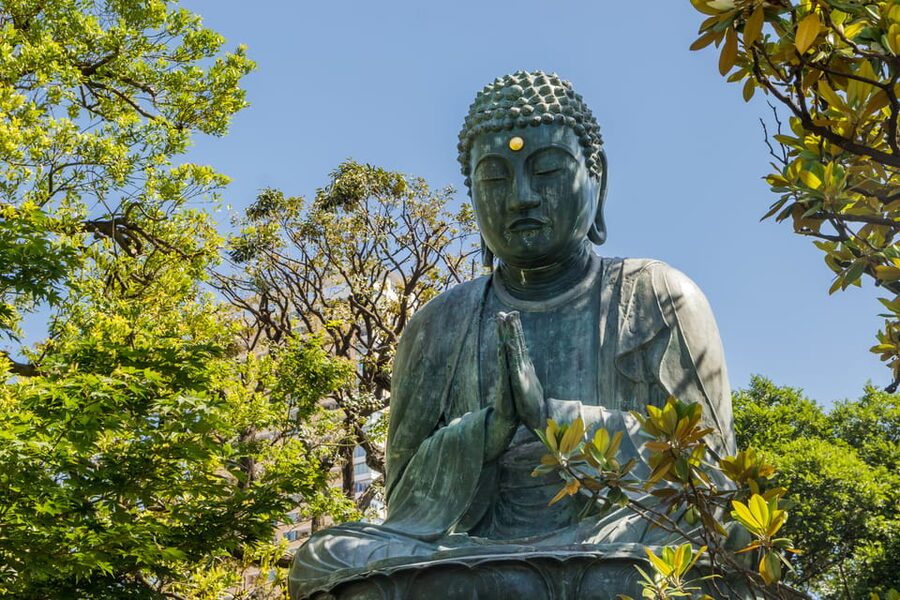 Old and Nostalgic Tokyo: Half-Day Yanaka Walking Tour - Who will enjoy this walk most