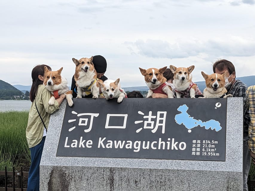 One Day 10hrs Mount Fuji Tour English Speaking Driver - Key points at a glance