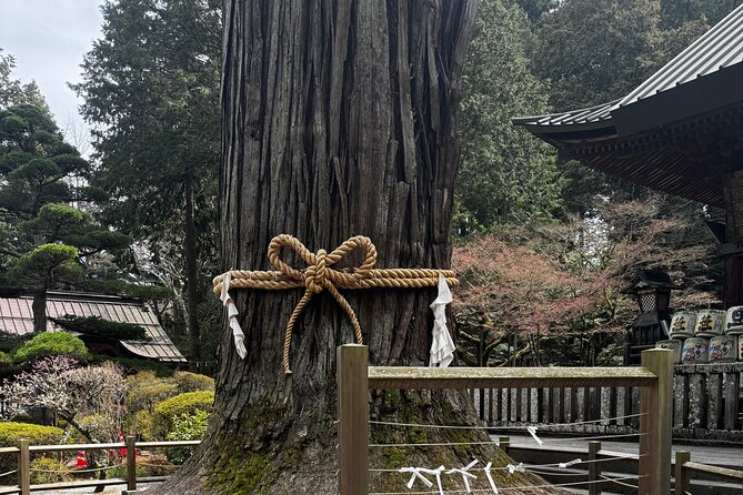 One day mountain Fuji & Hakone tour with English hindi bilingual - Saiko Iyashi no Sato Nemba and its thatched houses