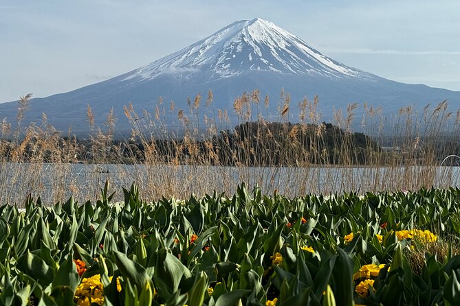 One day mountain Fuji & Hakone tour with English hindi bilingual - Kitaguchi Hongu Fuji Sengen Jinja in the cedar forest