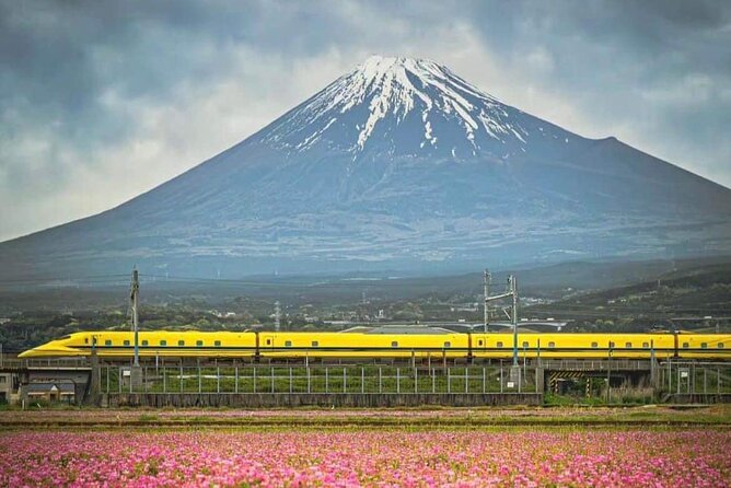 One day mountain Fuji & Hakone tour with English hindi bilingual - Oshino Hakkai, spring ponds and local food stalls