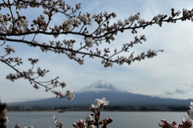 One day mountain Fuji & Hakone tour with English hindi bilingual - Lake Ashi and the pirate-style cruise
