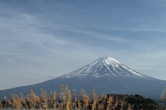 One day mountain Fuji & Hakone tour with English hindi bilingual - Arakurayama Sengen Park and the famous pagoda view