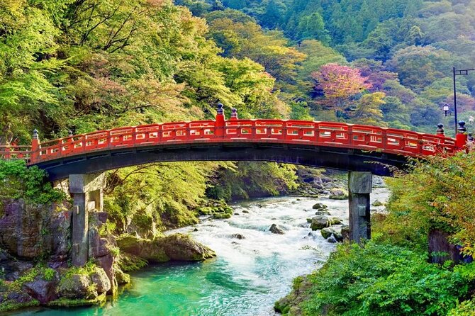 One Day Private Tour to Nikko With English Speaking Driver - Tokyo to Nikko: comfort comes with a long drive
