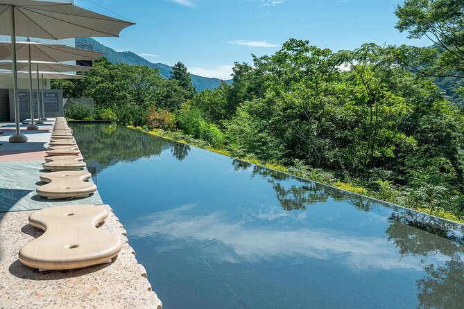 One day trip to Hakone from Tokyo with English speaking Driver - Choosing between Hakone’s two museums