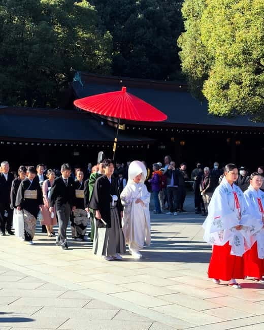 Perfect Start for your Japan Trip - Private Tour in Tokyo - Why this makes a strong first look at Tokyo