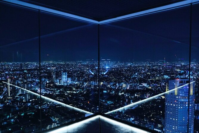 Private Airport transfer Haneda Airport(HND) to Tokyo City - Who should book this transfer