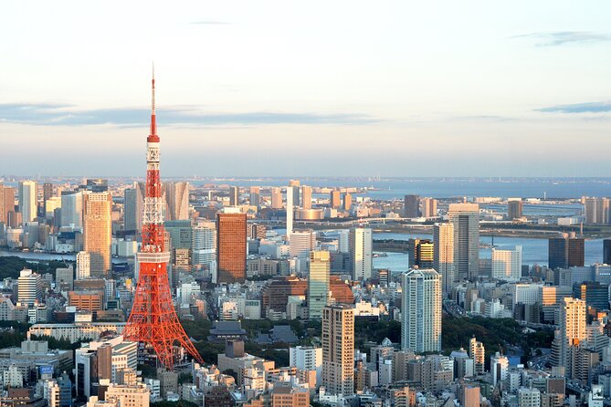 Private Airport transfer Haneda Airport(HND) to Tokyo City - Before you fly, get the details right