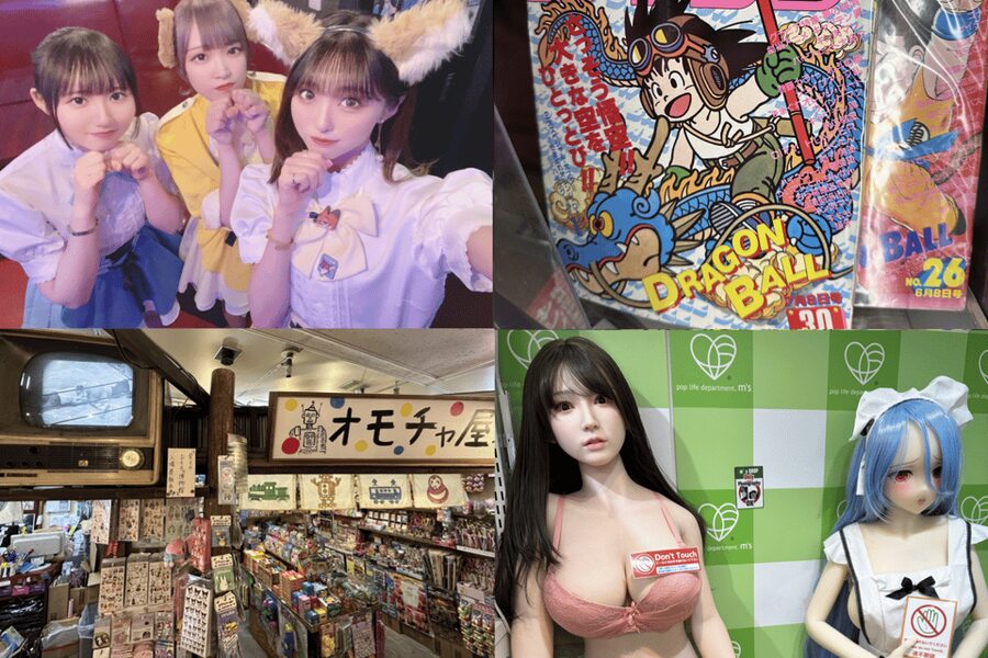 Private Akihabara Anime Game Maid Cafe Tour w/ free pickup - Akihabara works best with a personal game plan