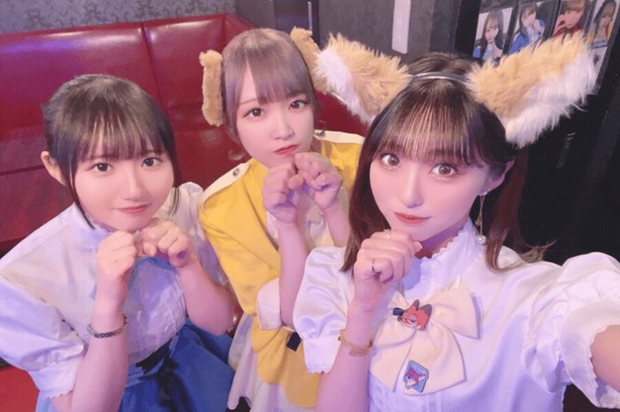 Private Akihabara Anime Game Maid Cafe Tour w/ free pickup - Four hours of Akihabara, shaped around you