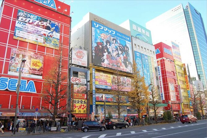 Private Akihabara Anime Guided Walking Tour - Why a private walk helps in Akihabara