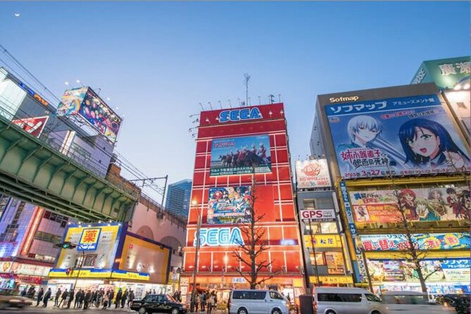 Private Akihabara Anime Guided Walking Tour - Guides Seiko and Sho add practical help