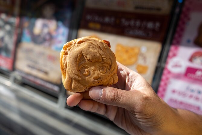 Private Akihabara anime Tour(walking Tour with photography) - Lashinbang is a practical stop for anime goods