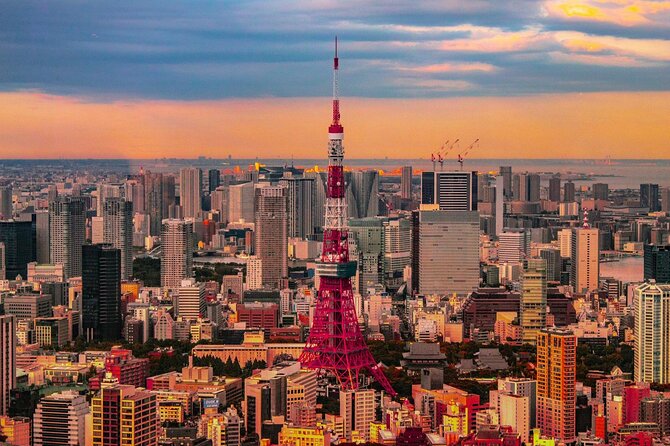 Private and Customisable Tokyo Tour with English Driver-guide - A Private Car Is the Fastest Way to Sample Tokyo