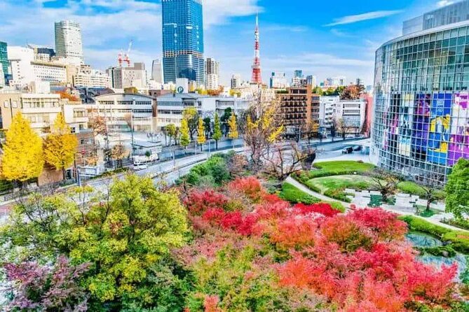 Private and Customisable Tokyo Tour with English Driver-guide - Odaiba and Tsukiji: Waterfront Views and Market Food