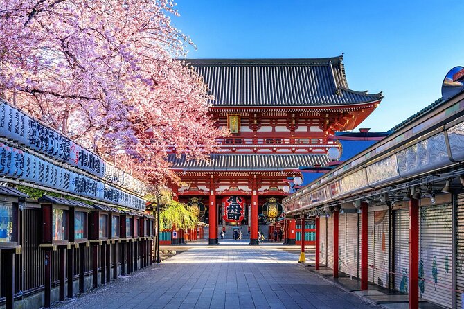 Private and Customisable Tokyo Tour with English Driver-guide - Meiji Jingu and Tokyo Tower