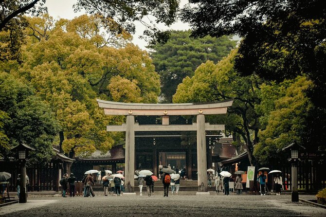 Private and Customisable Tokyo Tour with English Driver-guide - What the $270 Group Price Really Buys You
