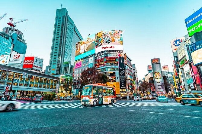 Private and Customisable Tokyo Tour with English Driver-guide - How to Shape a Better Nine-Hour Day