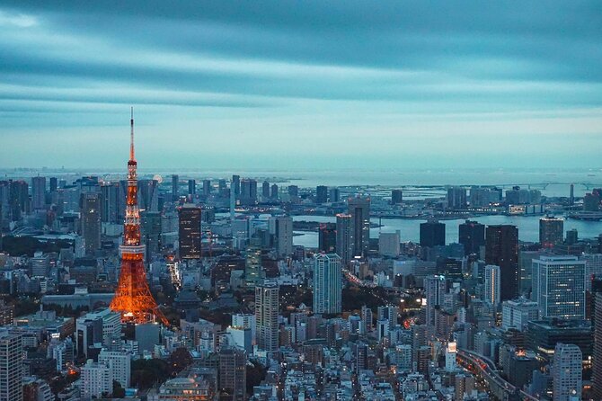 Private and Customisable Tokyo Tour with English Driver-guide - Ueno Park and the Imperial Palace