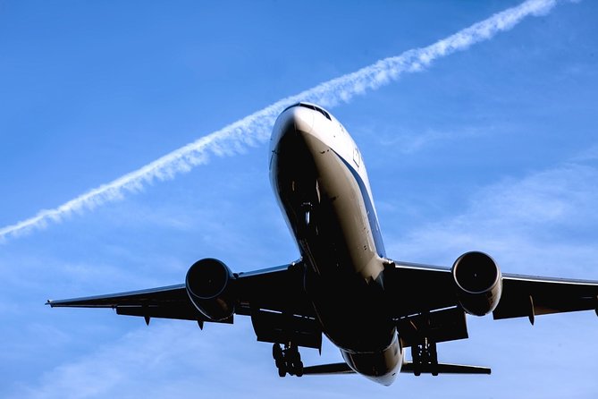 Private Arrival Transfer : Haneda Airport to Central Tokyo City - What happens after you land