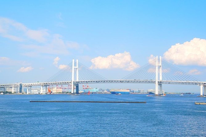 Private Arrival Transfer : Haneda Airport to Yokohama City - What happens when your flight is late