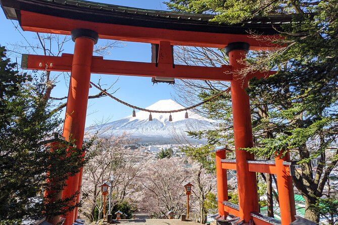 Private Car Mt Fuji and Gotemba Outlet in One Day from Tokyo - Lake Kawaguchi, the ropeway, and Oishi Park