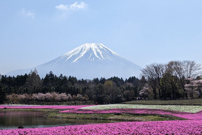 Private Car Mt Fuji and Gotemba Outlet in One Day from Tokyo - The fifth station: impressive, but seasonal and costly