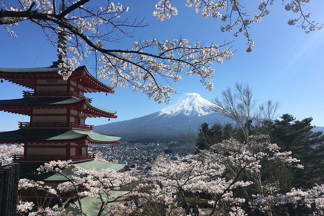Private Car Mt Fuji and Gotemba Outlet in One Day from Tokyo - Gotemba Premium Outlets and the value of free time