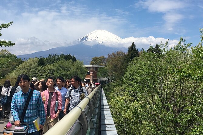 Private Car Mt Fuji and Gotemba Outlet in One Day from Tokyo - Caves, forest, lakes, and seasonal choices