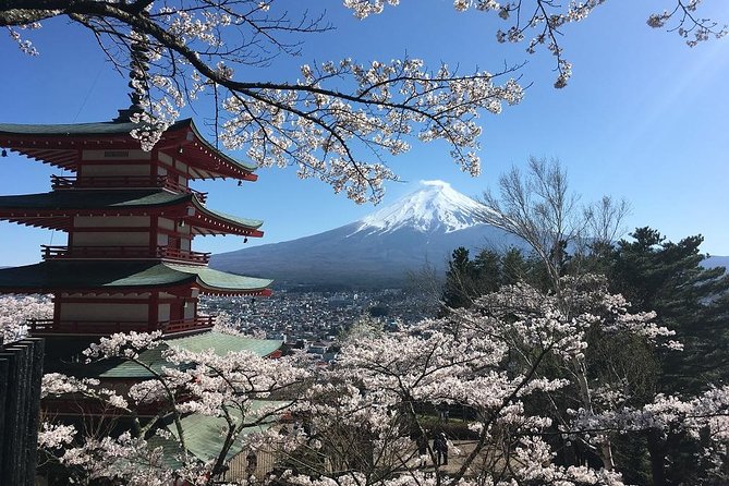 Private Car Tour to Mt. Fuji Lake Kawaguchiko or Hakone - Shrines and old villages around the Five Lakes