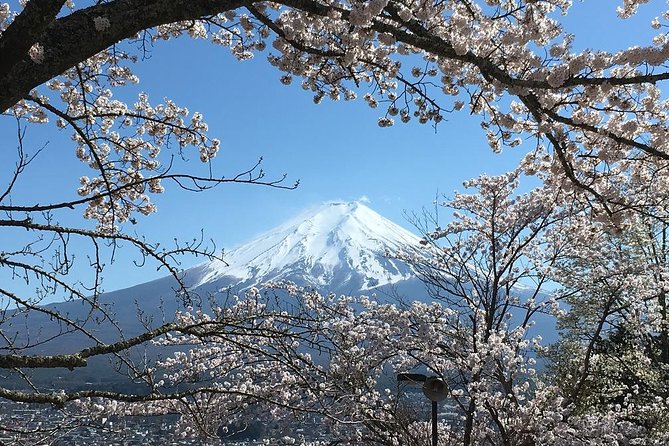 Private Car Tour to Mt. Fuji Lake Kawaguchiko or Hakone - Caves and the Aokigahara forest