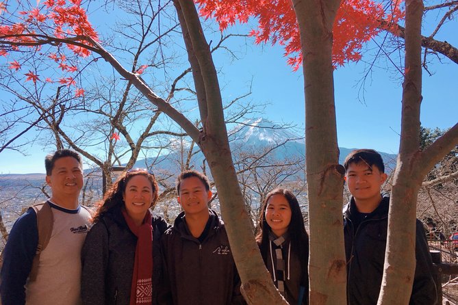 Private Car Tour to Mt. Fuji Lake Kawaguchiko or Hakone - Choosing Hakone instead of Kawaguchiko