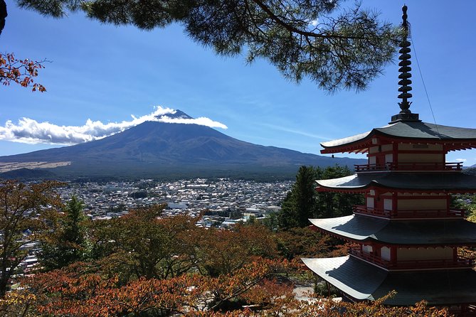 Private Car Tour to Mt. Fuji Lake Kawaguchiko or Hakone - How much value do you get for $1,286.89?