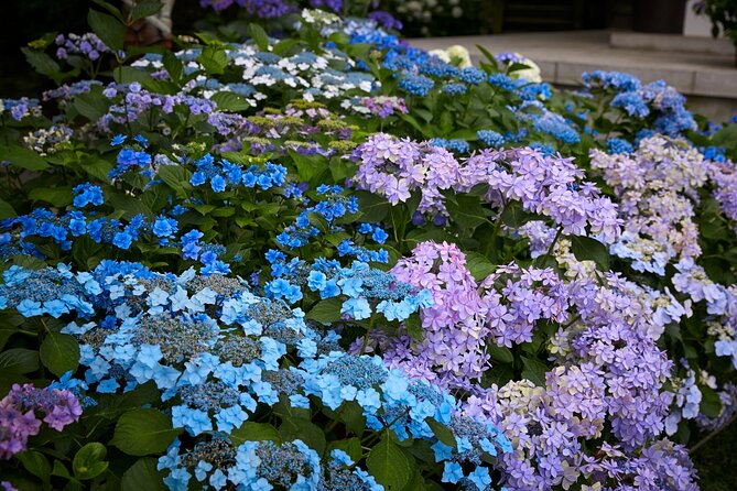 Private Car Tour to see Highlights of Kamakura, Enoshima, Yokohama from Tokyo - Yokohama’s bay, gardens, and food museums