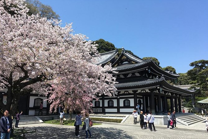 Private Car Tour to see Highlights of Kamakura, Enoshima, Yokohama from Tokyo - What the guides and driver add