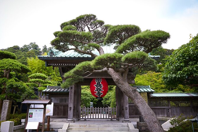 Private Car Tour to see Highlights of Kamakura, Enoshima, Yokohama from Tokyo - Choosing among Kamakura’s Zen temples