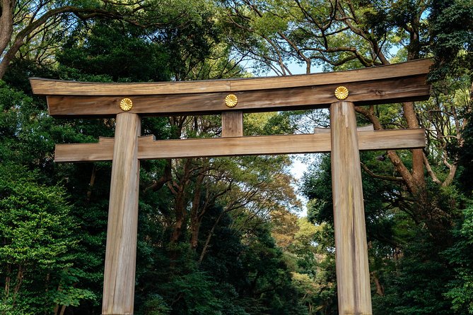 Private City Kickstart Tour: Tokyo - What this Tokyo kickstart tour really gives you