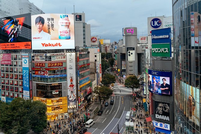 Private City Kickstart Tour: Tokyo - Timing, meeting point, and walking comfort