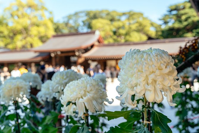 Private City Kickstart Tour: Tokyo - The cancellation policy and booking value