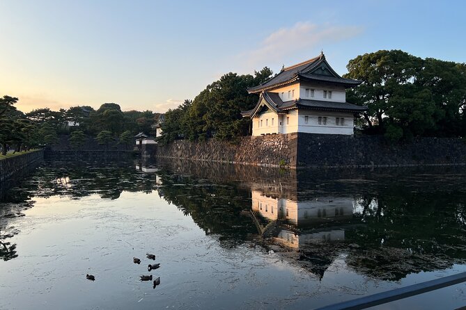 Private Custom Tour in Tokyo with a Bilingual Japanese Guide - Starting at Meiji Shrine and Harajuku