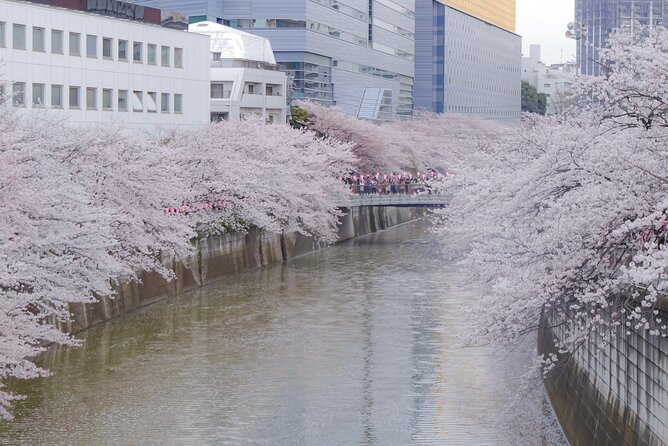 Private Custom Tour: Tokyo in a Day - Yanaka Ginza offers a quieter shopping choice