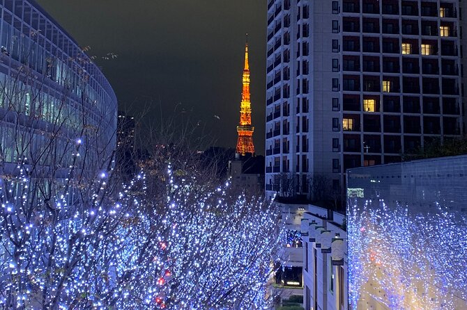 Private Custom Tour: Tokyo in a Day - Public transit teaches you how Tokyo works
