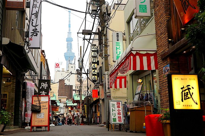 Private Customizable Walking Tour of Tokyo - Akihabara: anime, games, and electronics