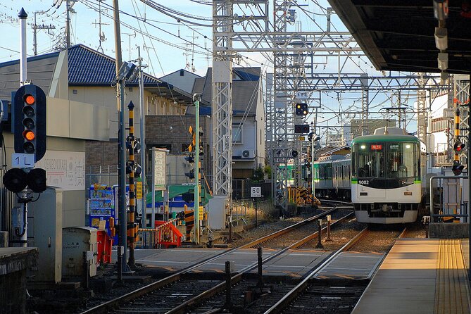 Private Day Tour In Tokyo with a Native English Speaker - Shibuya: famous crossing, modern Tokyo
