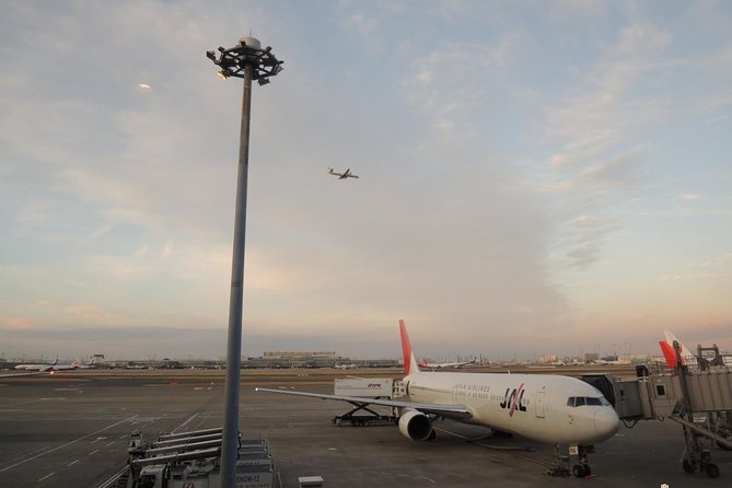 Private Departure Transfer : Tokyo Disney to Haneda International Airport - Leaving Tokyo Disney without a transit puzzle