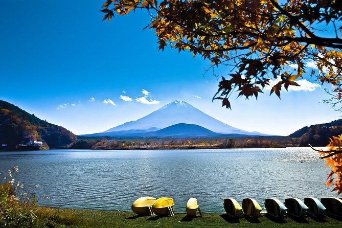 Private Fuji Hakone Tour Charter with English Speaking Driver - What this private Fuji and Hakone day is really like