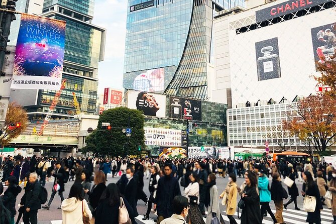 Private Full-day Tokyo Walking Subway Tour by Japan Gray Line - Asakusa and Senso-ji: Tokyo’s traditional side