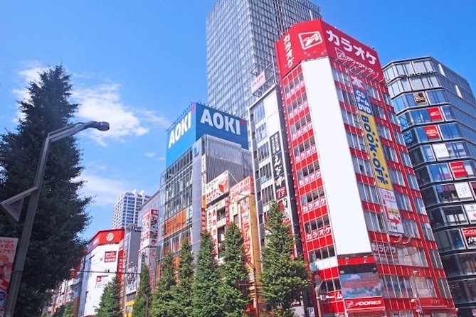 Private Full-Day Tour of Tokyo with Hotel Pickup - Who will get the most from this day