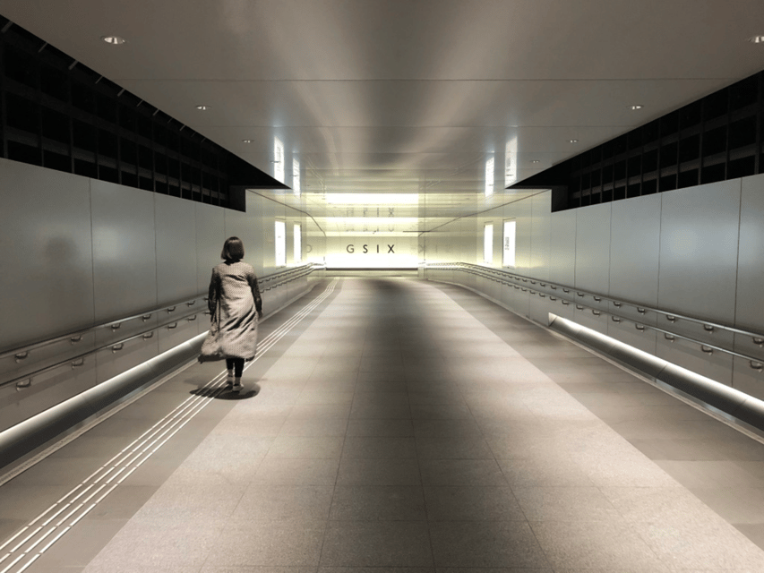 Private Ginza Architecture Tour - The Okuno Building and Ginza’s older face
